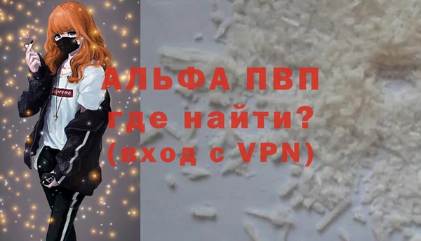 индика Краснотурьинск
