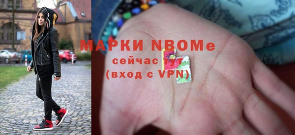 дмт Краснослободск