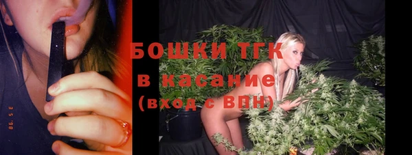 дмт Краснослободск