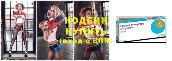 дмт Краснослободск