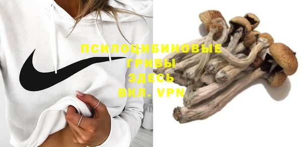 дмт Краснослободск