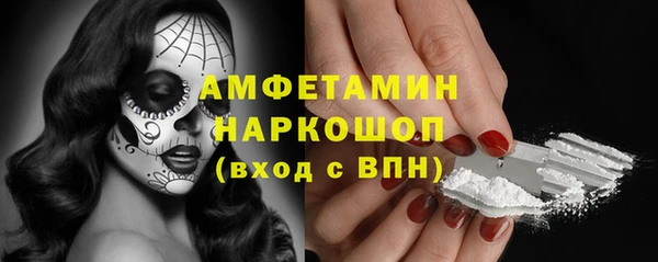 дмт Краснослободск