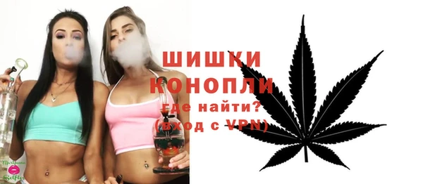 индика Краснотурьинск