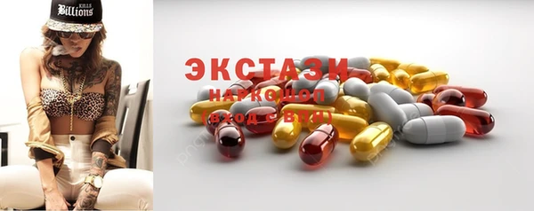 индика Краснотурьинск
