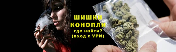 дмт Краснослободск
