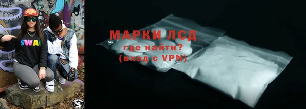 индика Краснотурьинск
