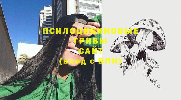 а пвп мука Корсаков