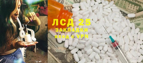индика Краснотурьинск