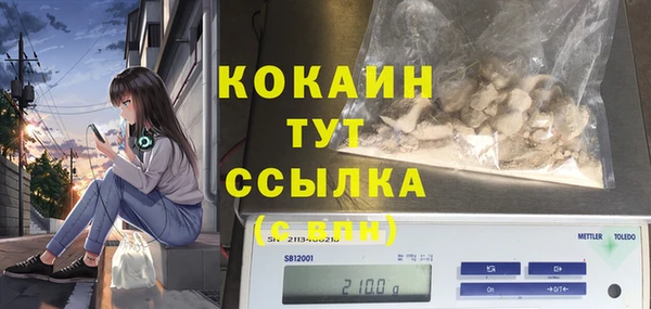 дмт Краснослободск