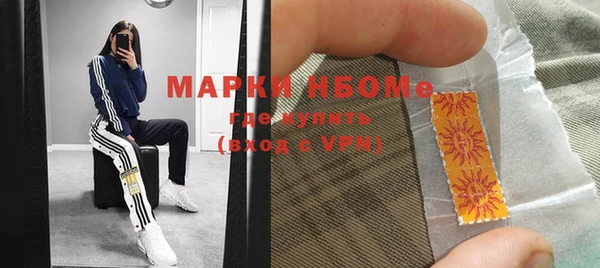 индика Краснотурьинск
