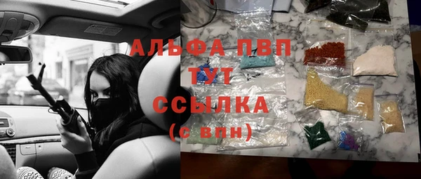 индика Краснотурьинск