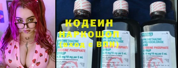 индика Краснотурьинск