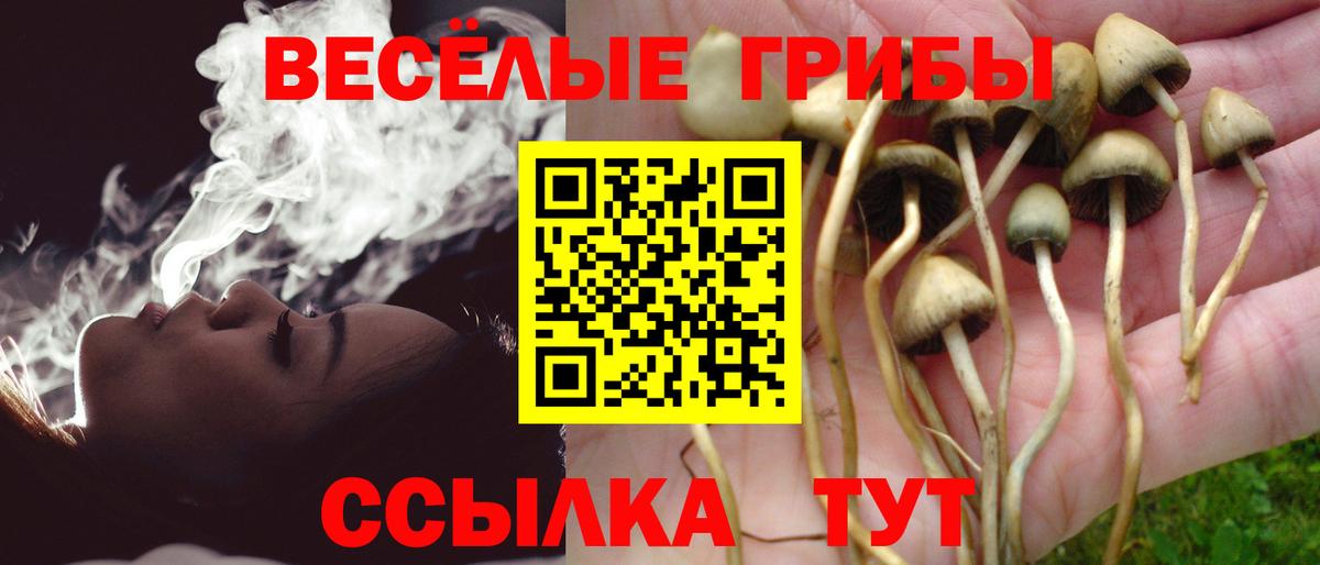 ГАШИШ Костомукша