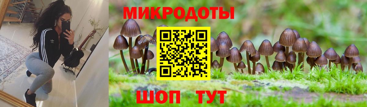 что такое наркотик  Псилоцибиновые грибы MAGIC MUSHROOMS  Вход с VPN  Костомукша 