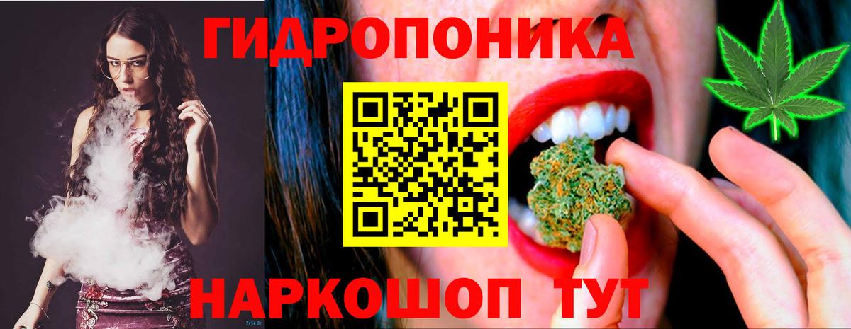 Марихуана Bruce Banner Костомукша